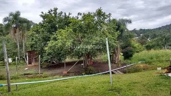 Chácara, 4 quartos, 2 hectares - Foto 6