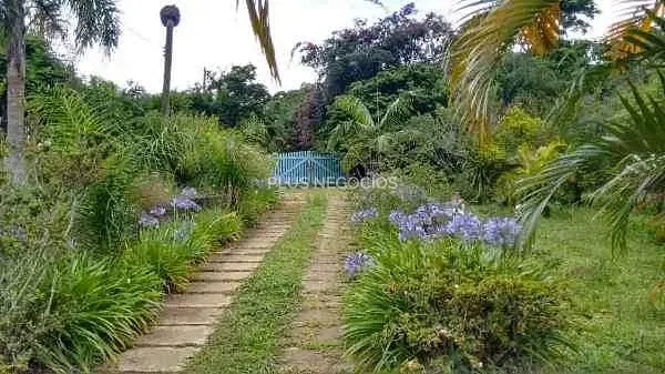 Chácara, 4 quartos, 2 hectares - Foto 9