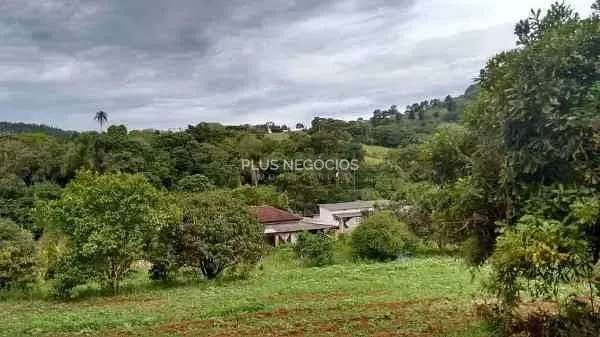 Chácara, 4 quartos, 2 hectares - Foto 11