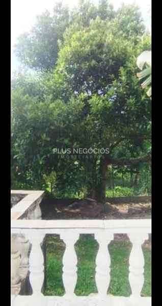 Chácara, 3 quartos, 1 hectares - Foto 16