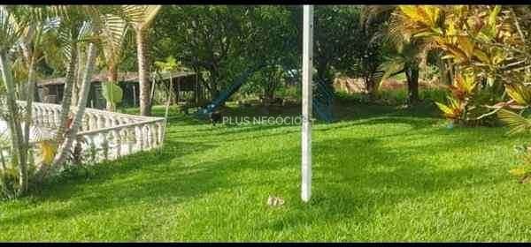 Chácara, 3 quartos, 1 hectares - Foto 17