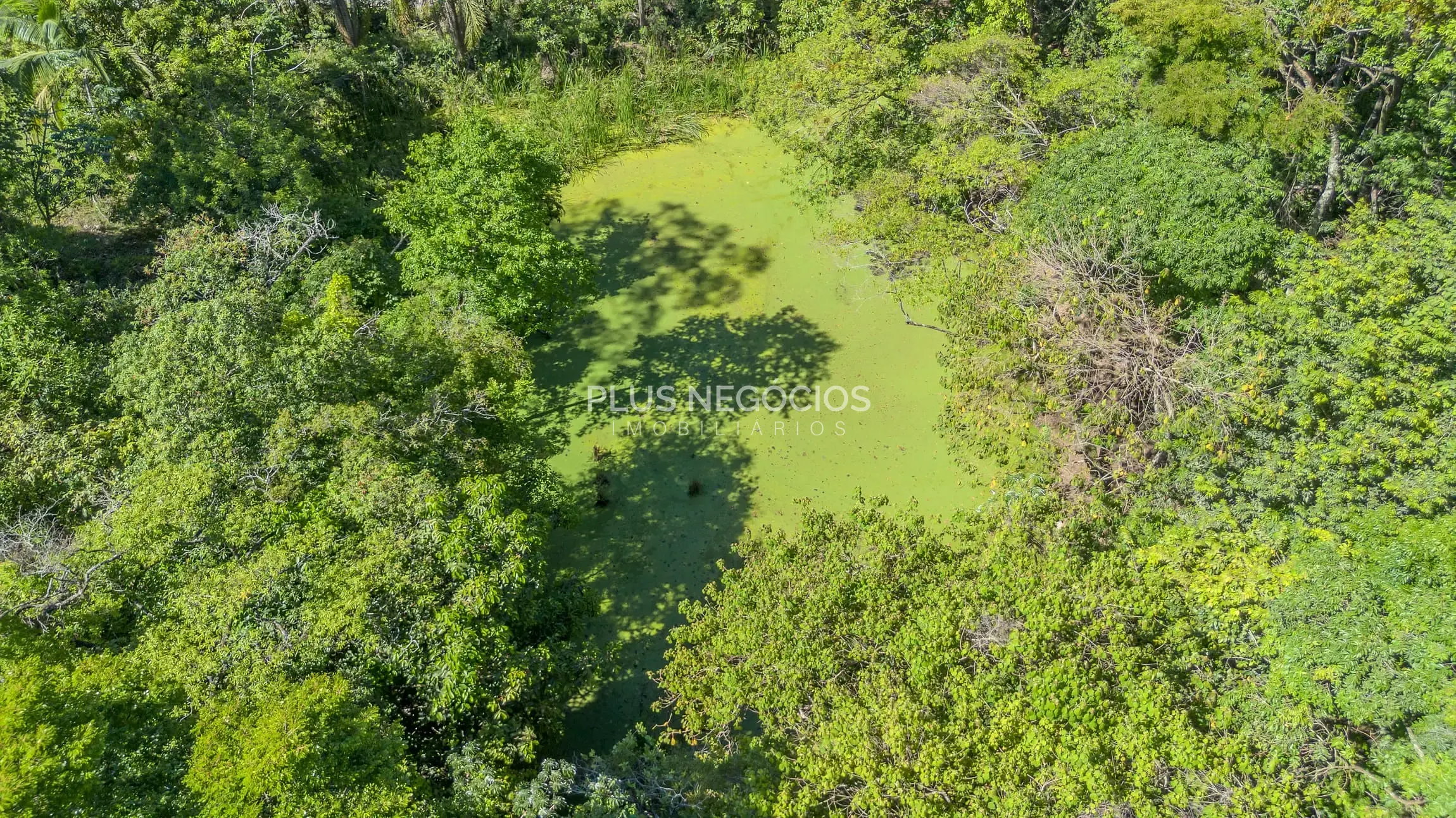 Chácara, 4 quartos, 2 hectares - Foto 3