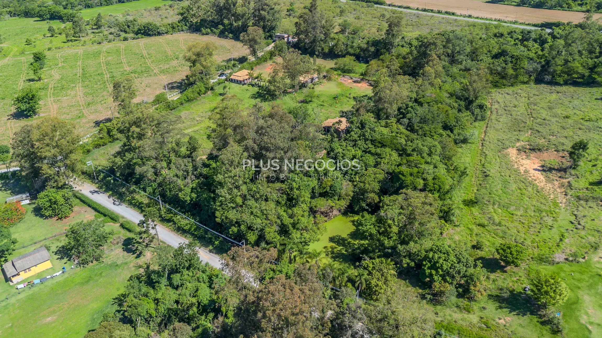Chácara, 4 quartos, 2 hectares - Foto 4
