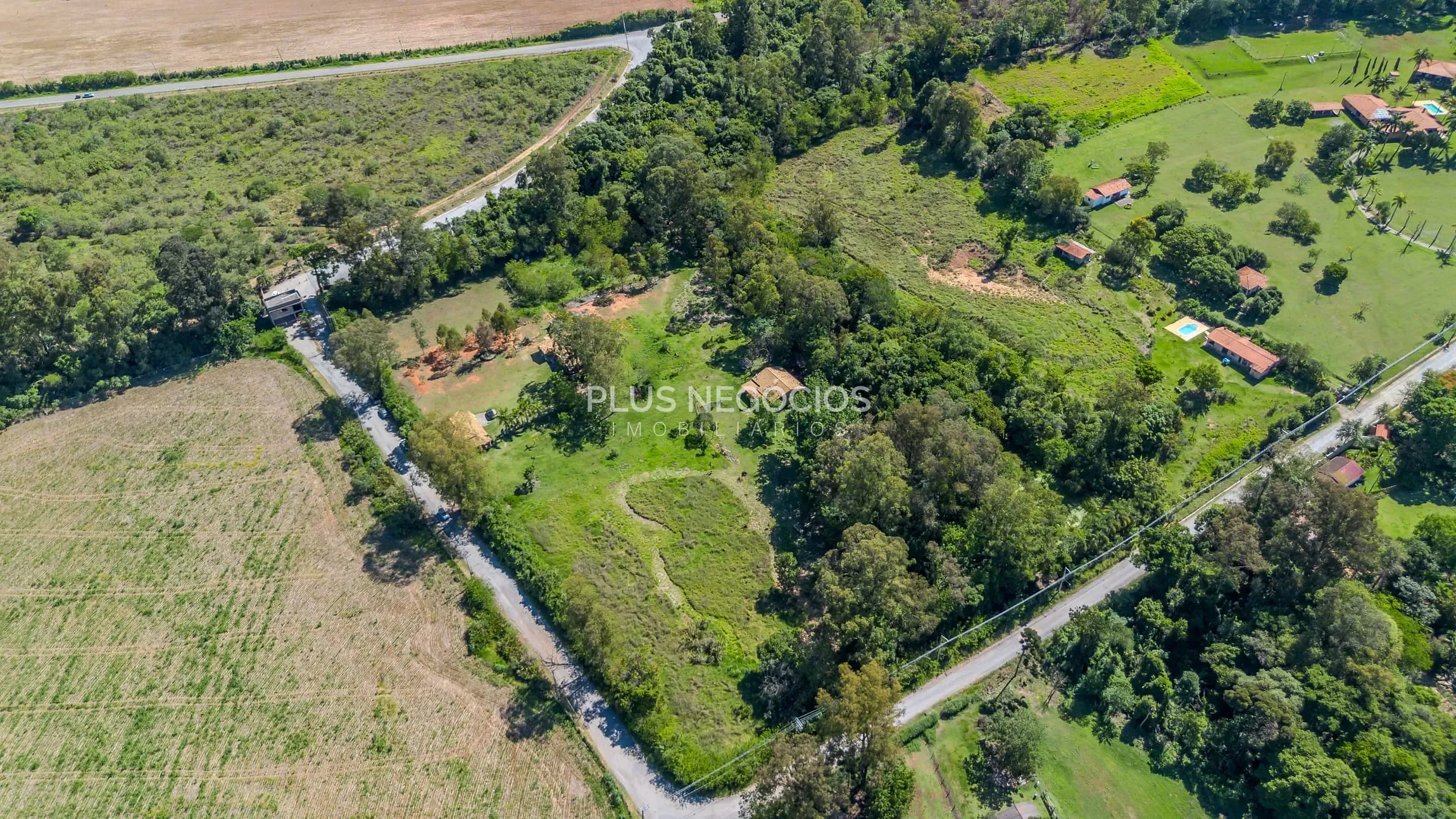 Chácara, 4 quartos, 2 hectares - Foto 6