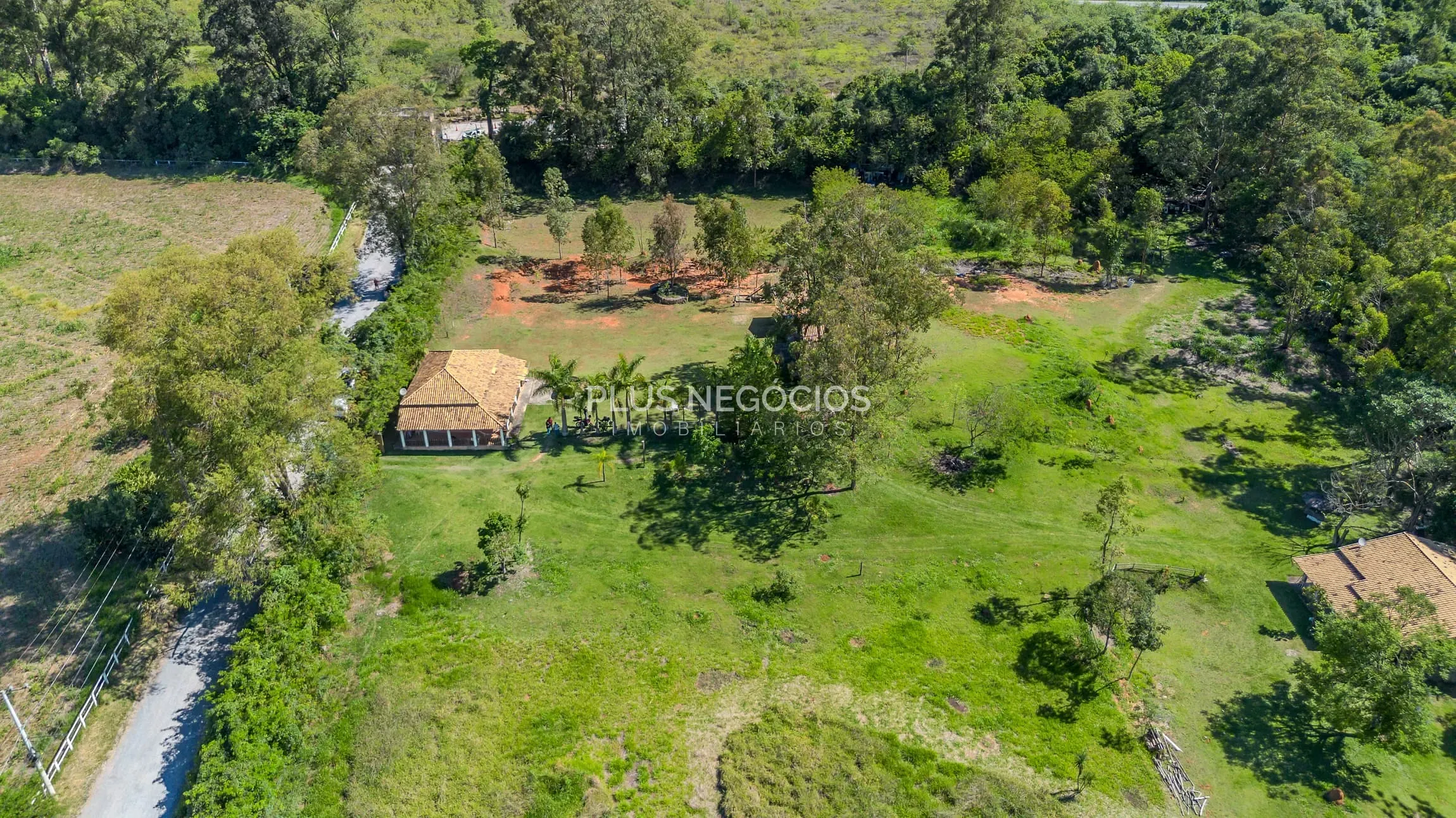 Chácara, 4 quartos, 2 hectares - Foto 12
