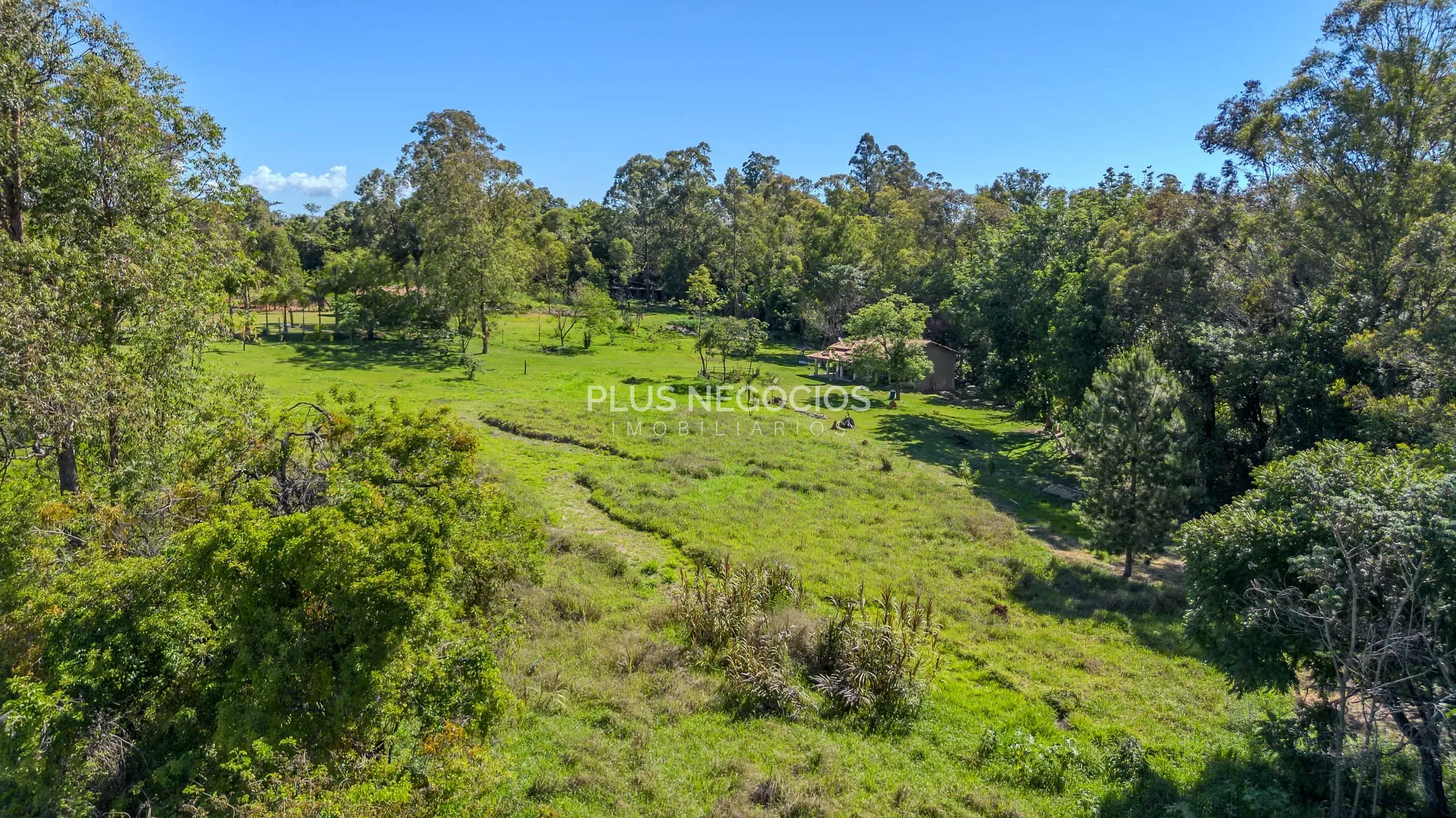 Chácara, 4 quartos, 2 hectares - Foto 19