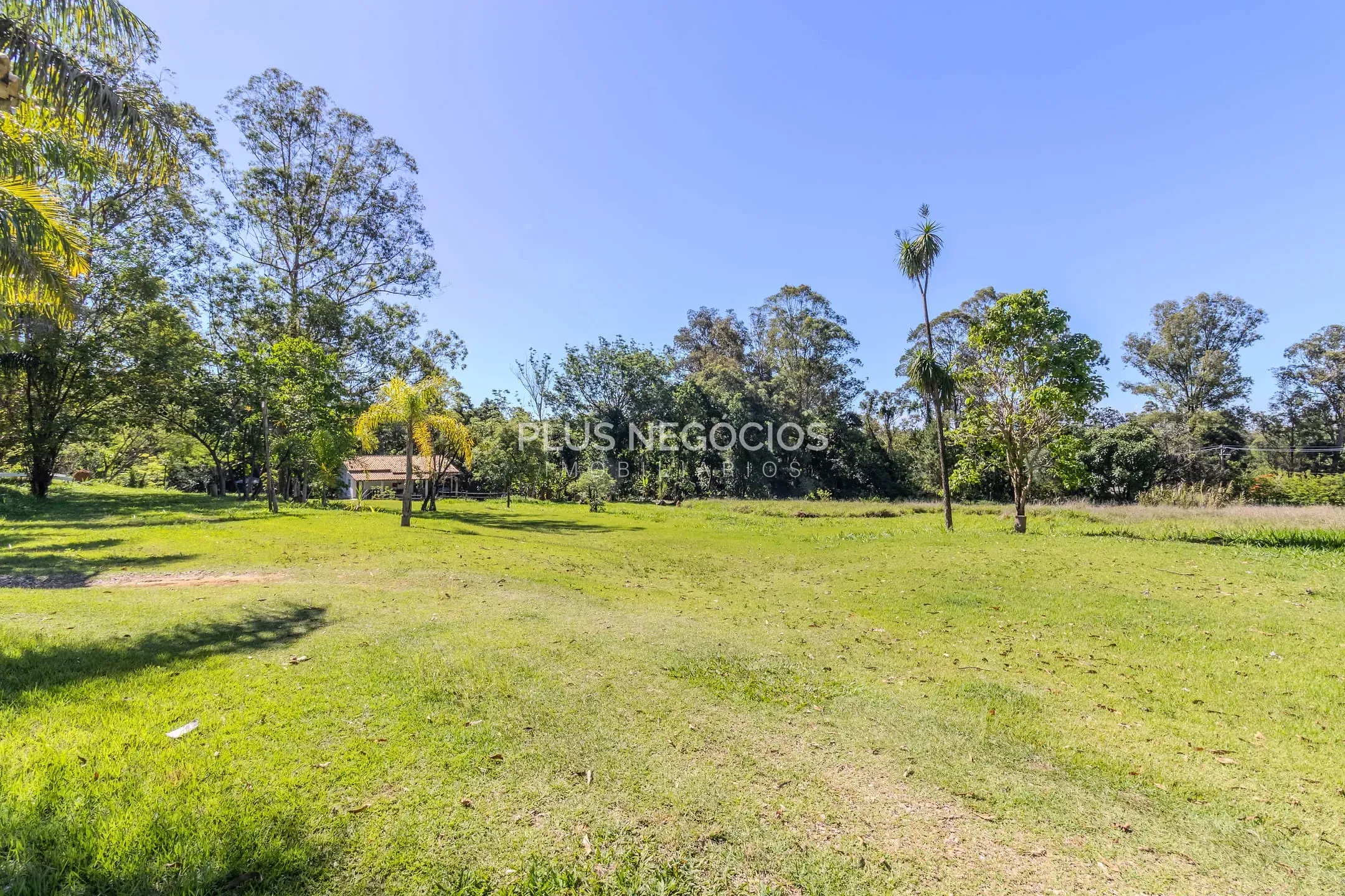 Chácara, 4 quartos, 2 hectares - Foto 44