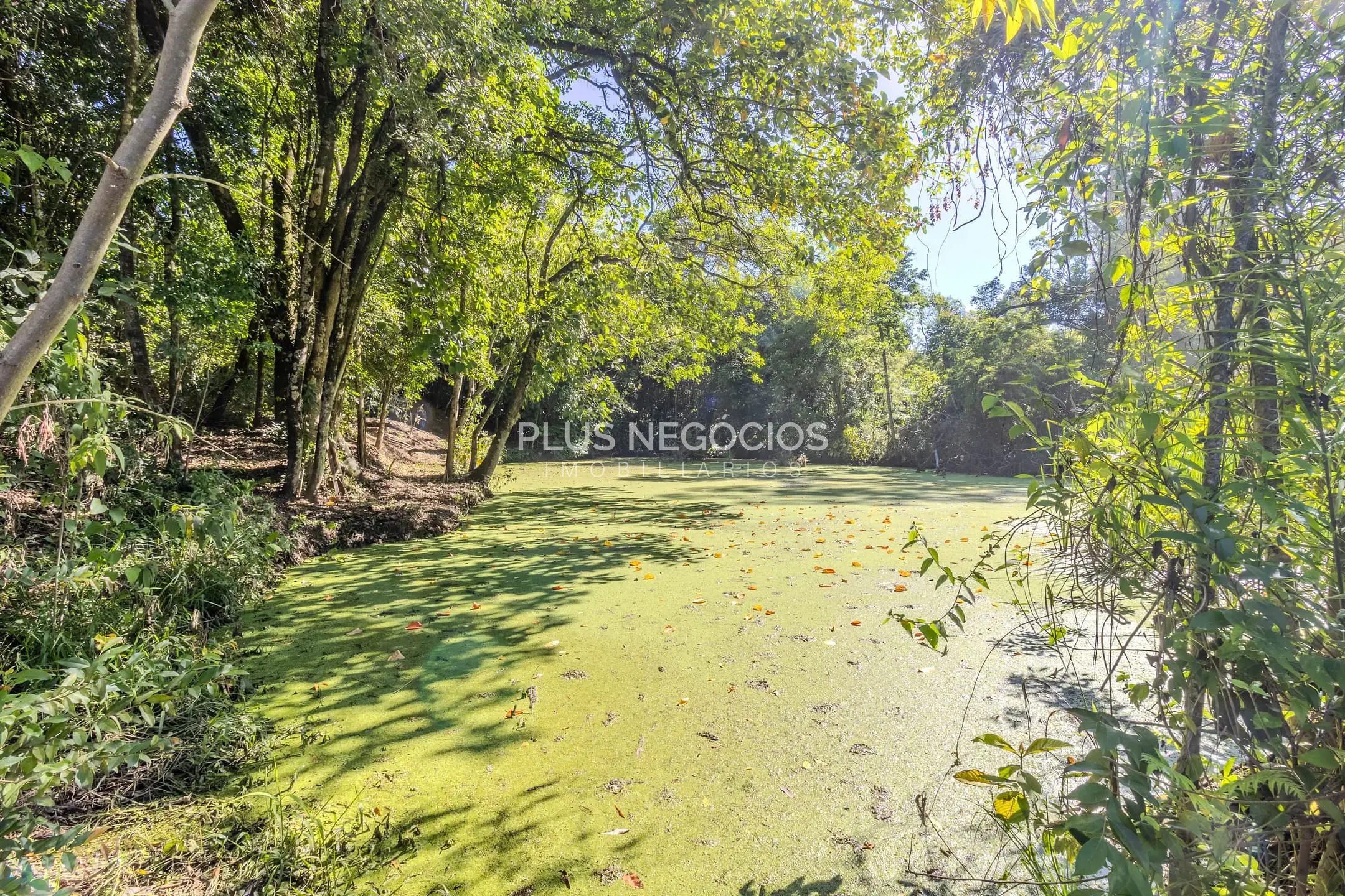 Chácara, 4 quartos, 2 hectares - Foto 49