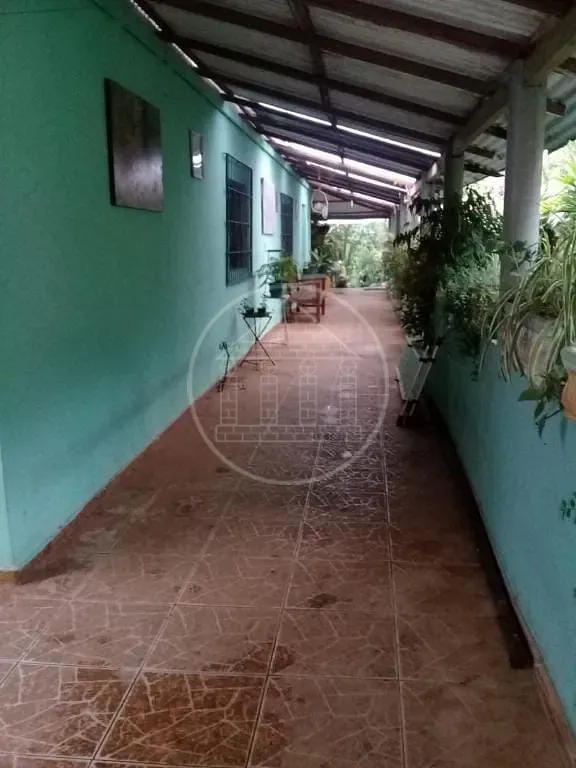 Sítio, 3 quartos, 5189 m² - Foto 50