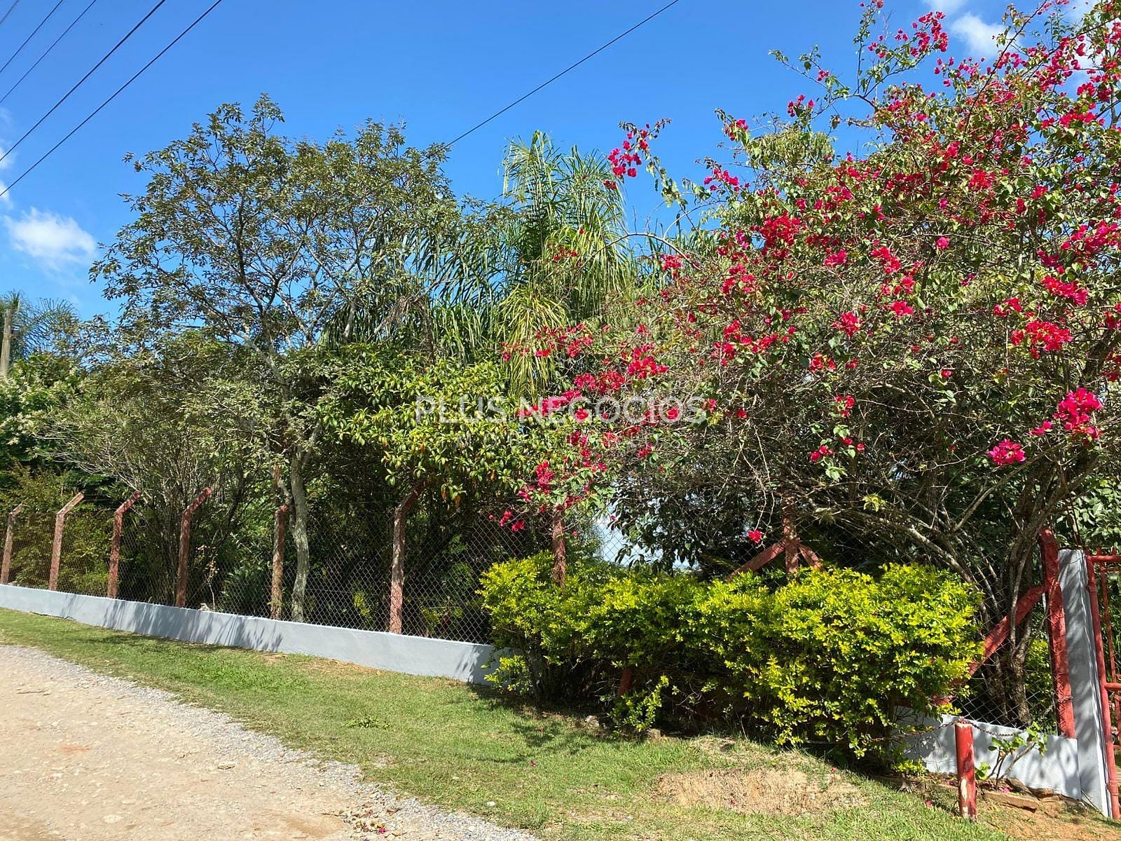 Chácara, 3 quartos, 2500 m² - Foto 9