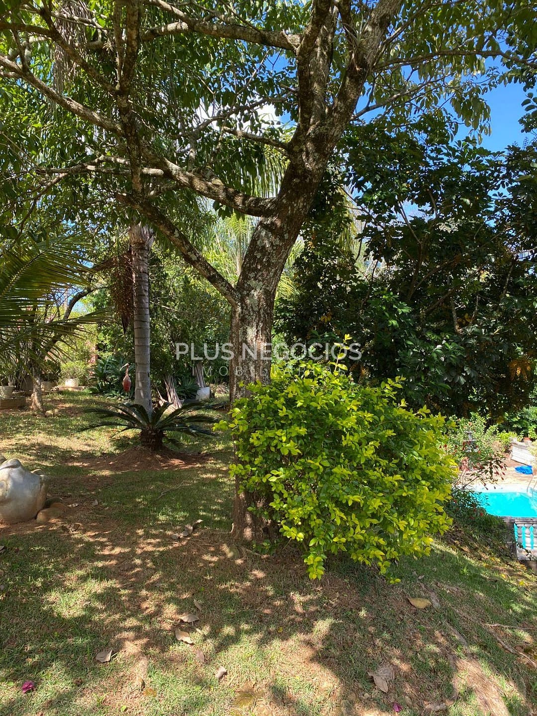 Chácara, 3 quartos, 2500 m² - Foto 11