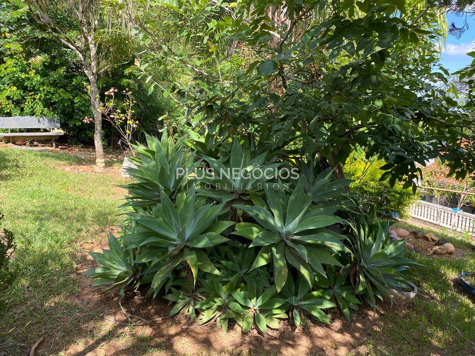 Chácara, 3 quartos, 2500 m² - Foto 13