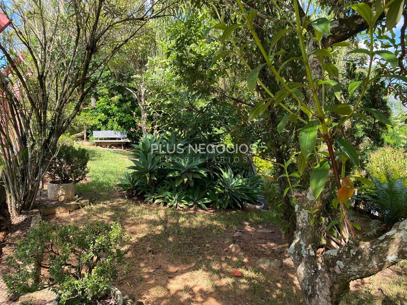 Chácara, 3 quartos, 2500 m² - Foto 14