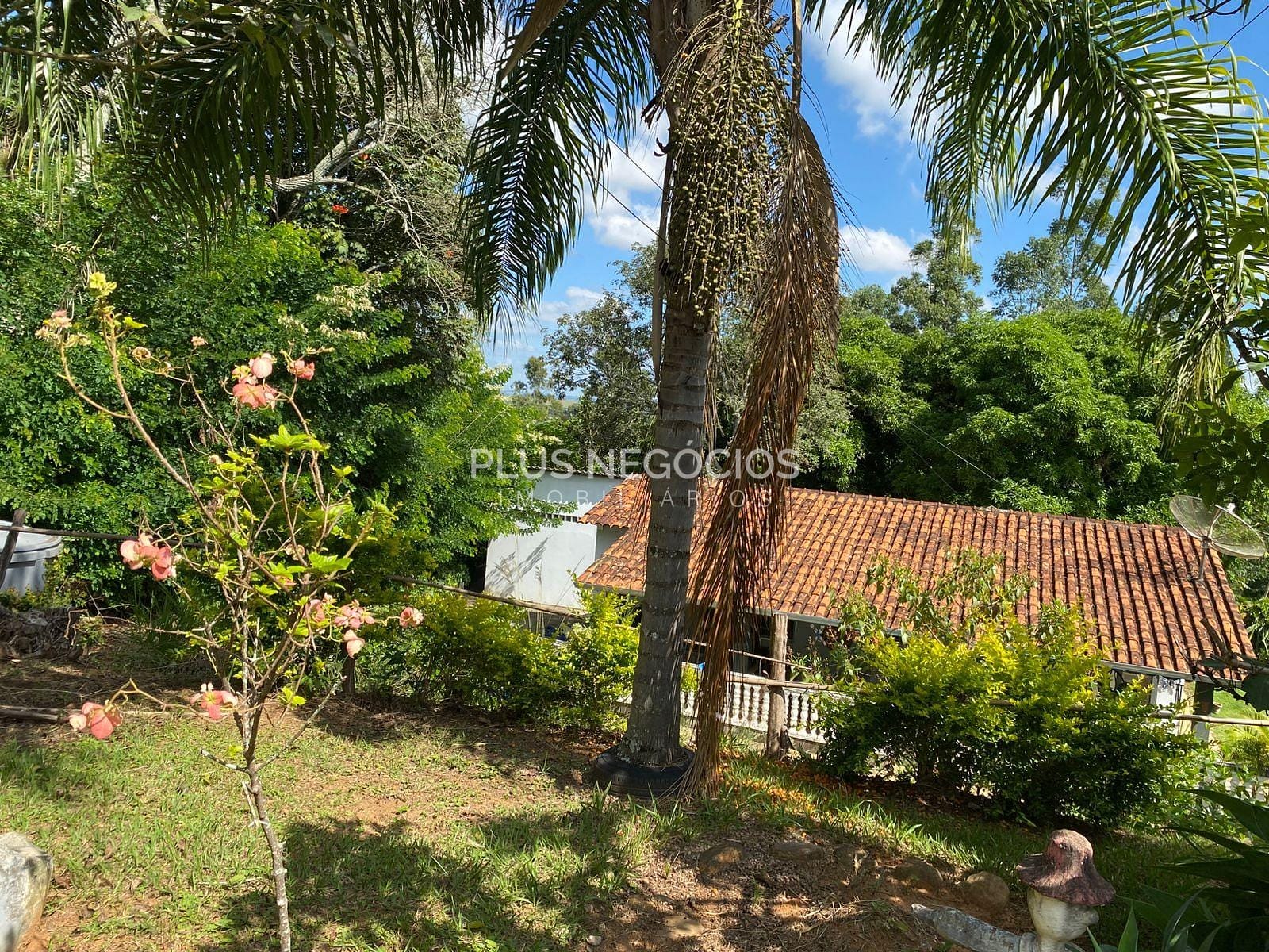 Chácara, 3 quartos, 2500 m² - Foto 15