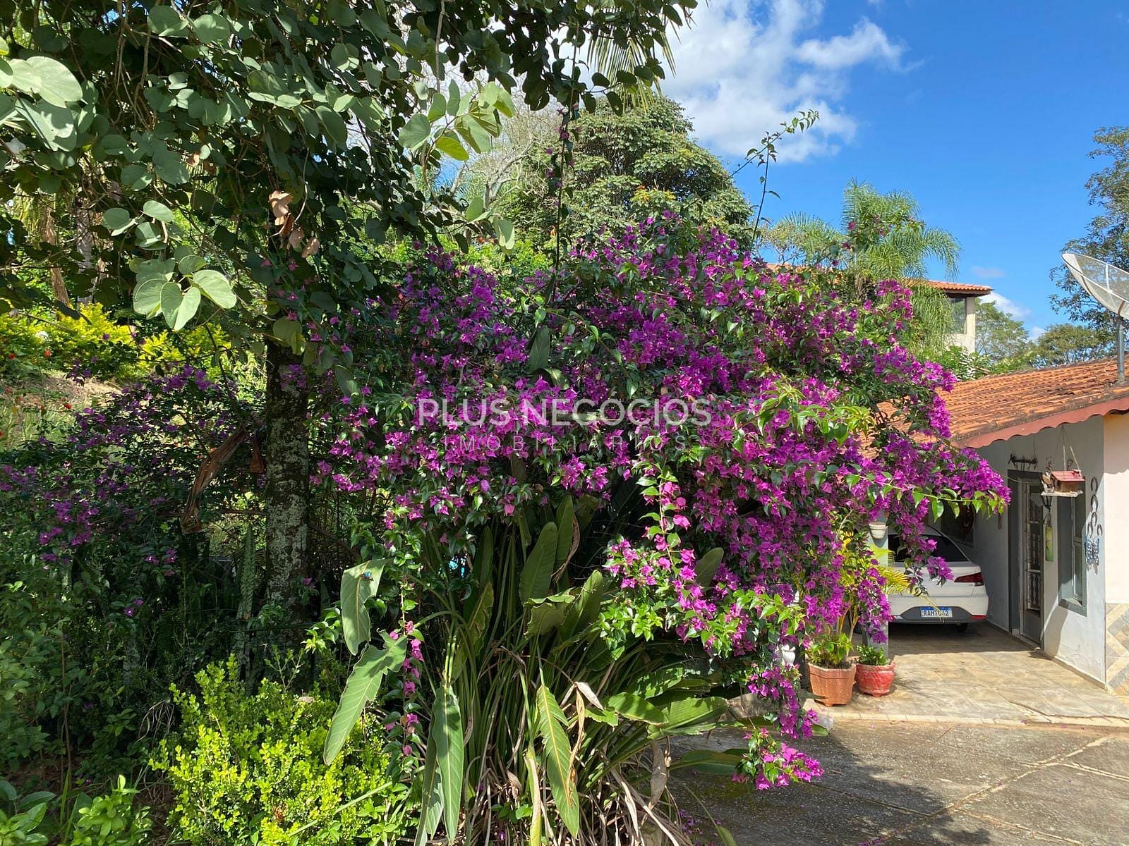 Chácara, 3 quartos, 2500 m² - Foto 17