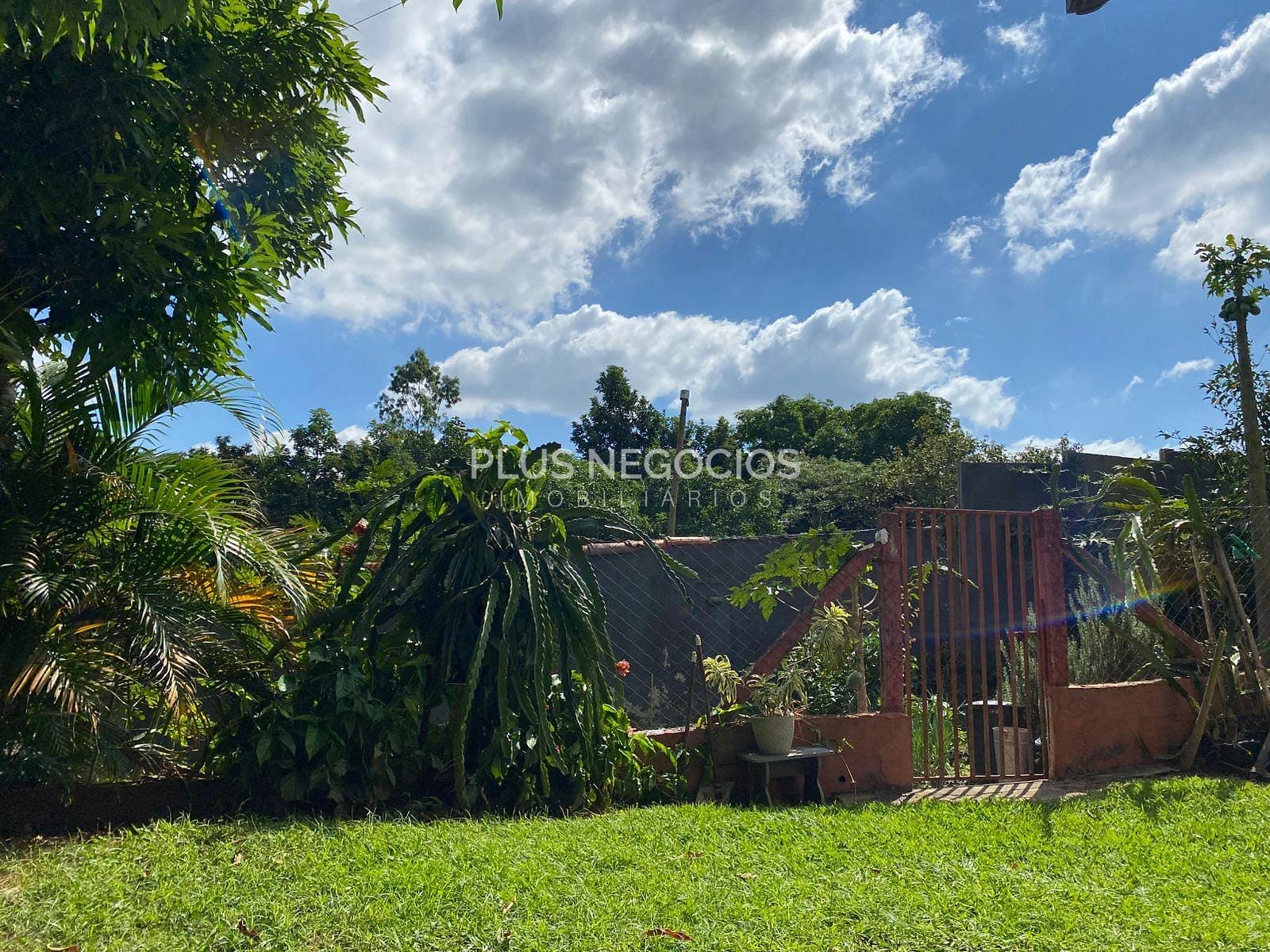 Chácara, 3 quartos, 2500 m² - Foto 18