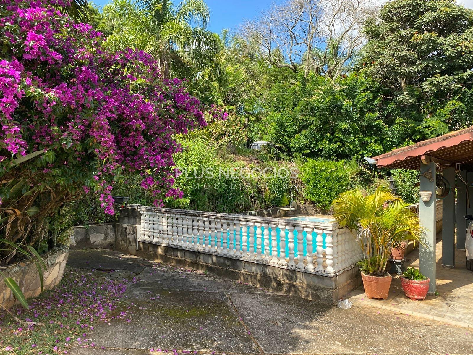 Chácara, 3 quartos, 2500 m² - Foto 19