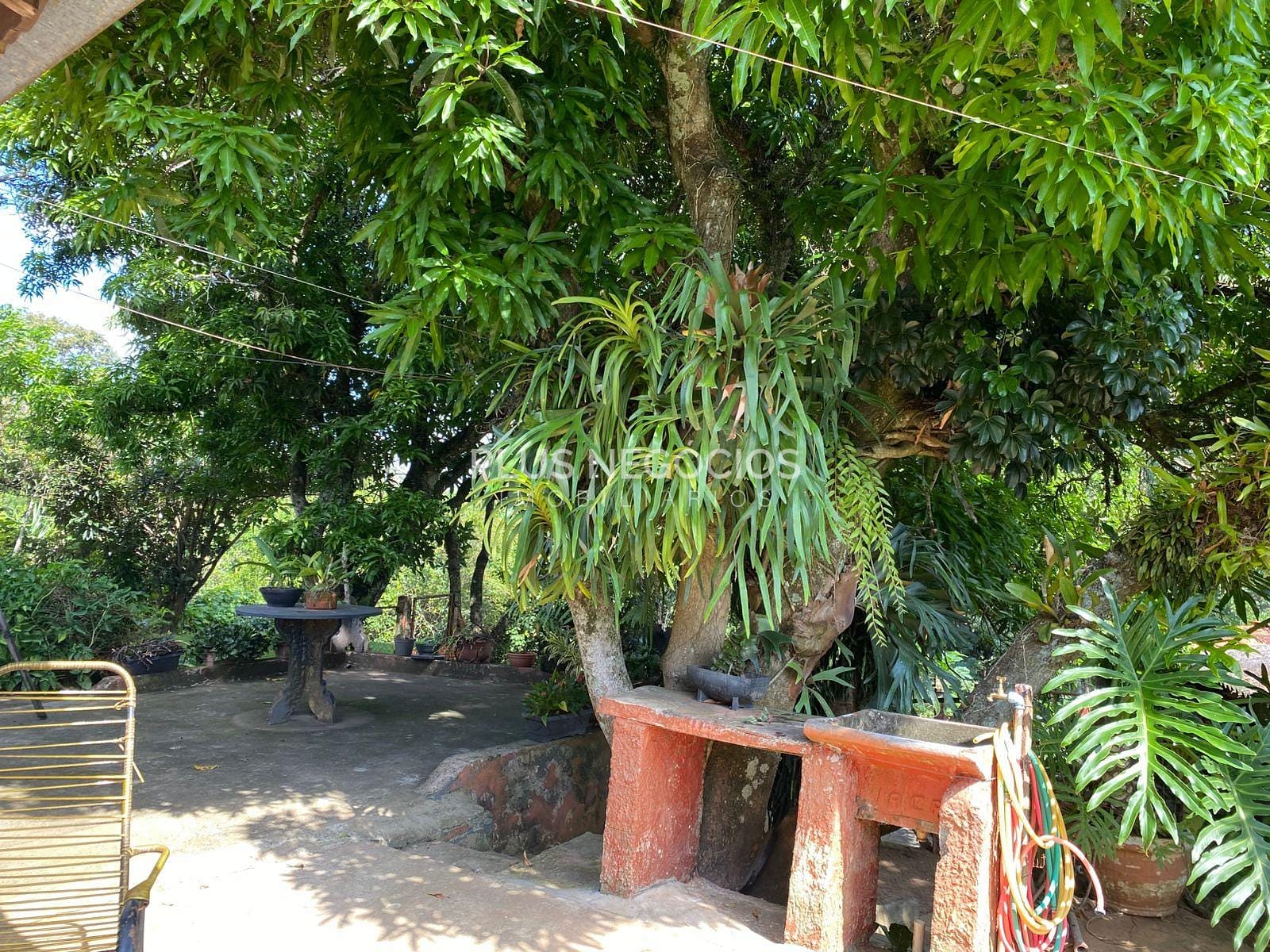 Chácara, 3 quartos, 2500 m² - Foto 22