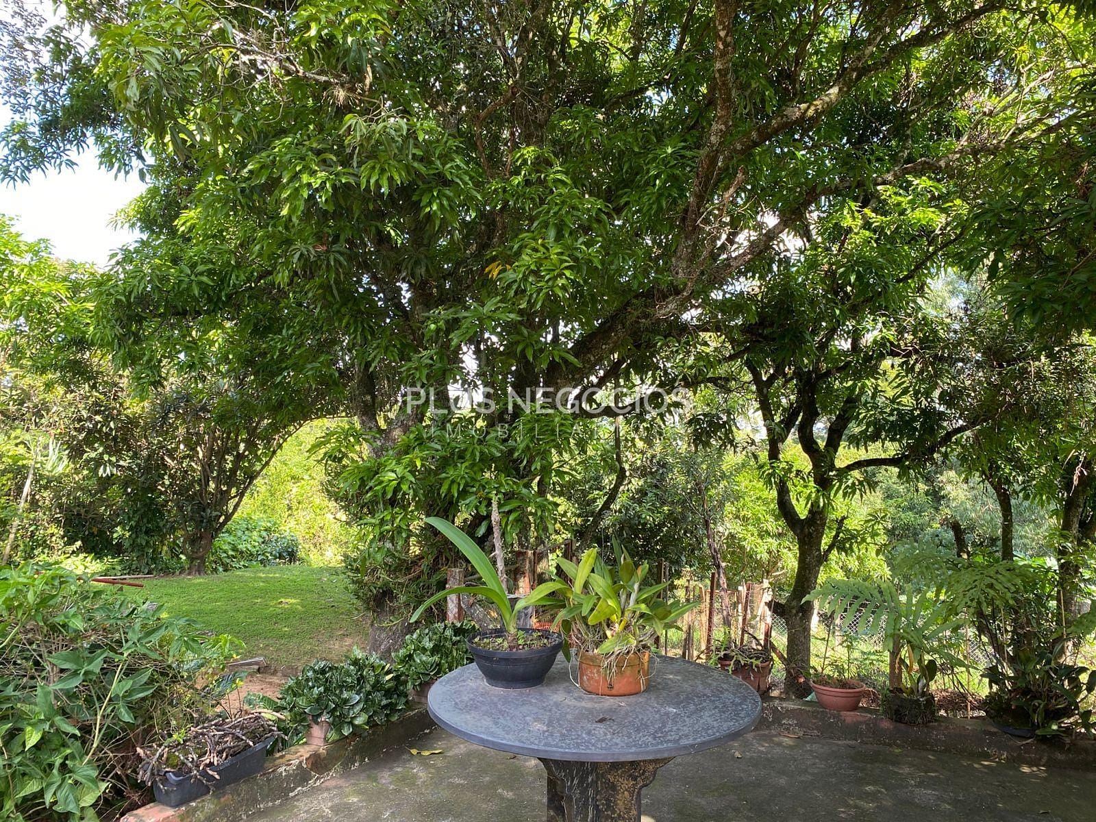 Chácara, 3 quartos, 2500 m² - Foto 24