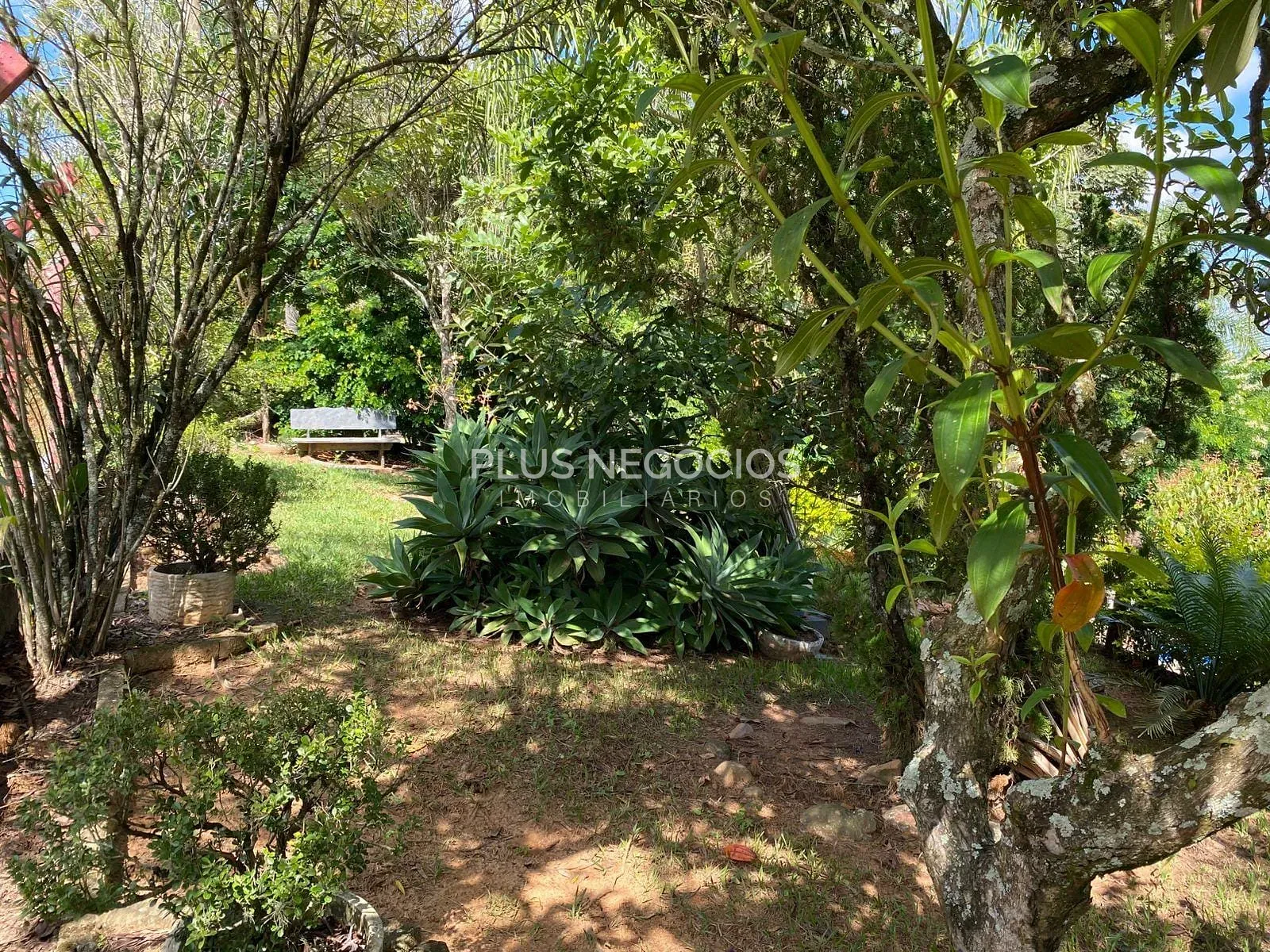 Chácara, 3 quartos, 2500 m² - Foto 14