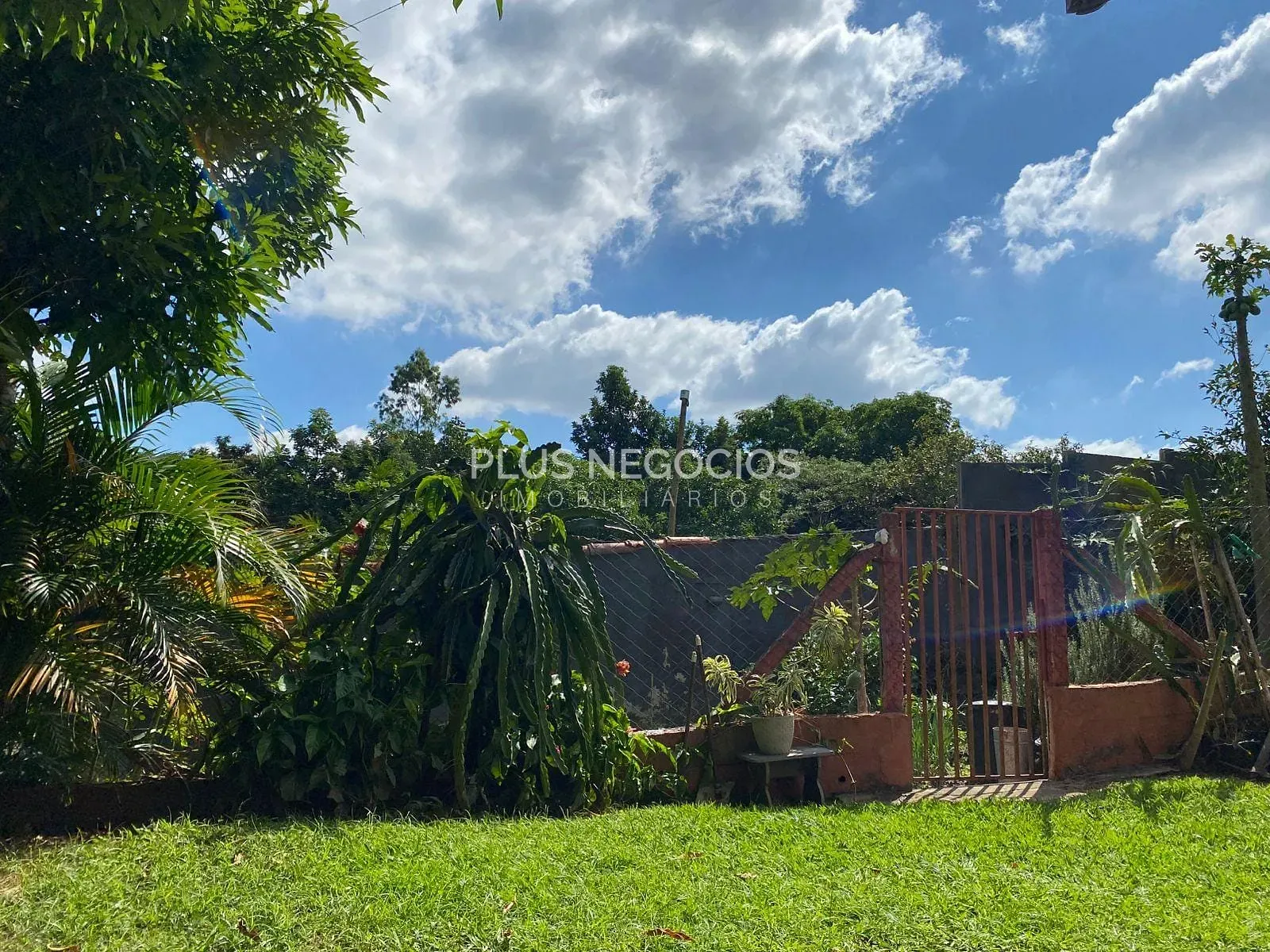 Chácara, 3 quartos, 2500 m² - Foto 18