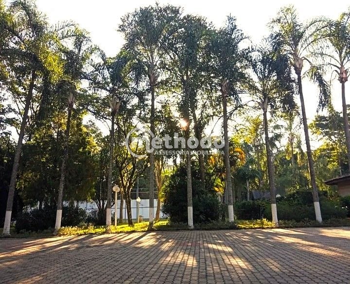 Chácara, 6 quartos, 9000 m² - Foto 25