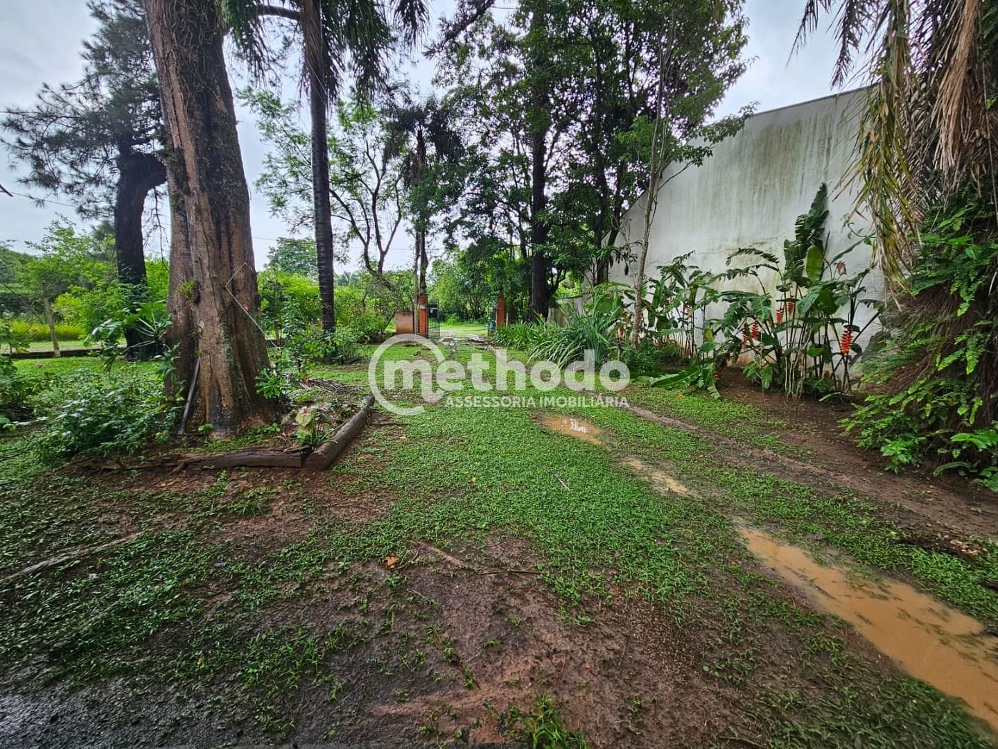 Chácara, 3 quartos, 5000 m² - Foto 20