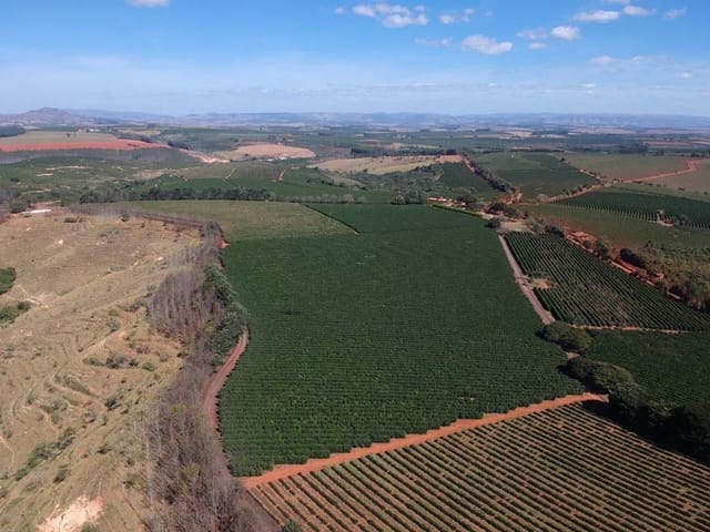 Fazenda com 1333000m², à venda, no bairro Centro em Piumhi