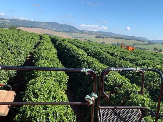 Fazenda com 1333000m², à venda, no bairro Centro em Piumhi