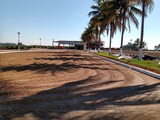 Fazenda com 1333000m², à venda, no bairro Centro em Piumhi