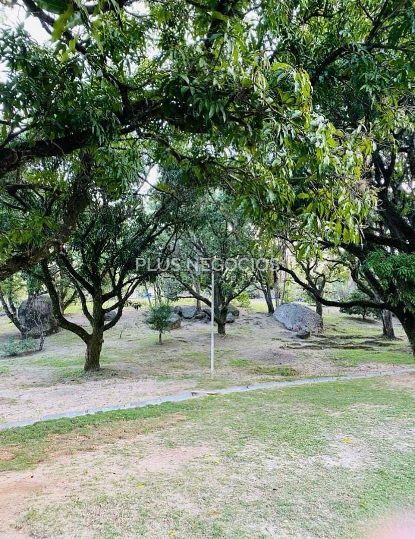 Chácara, 3 quartos, 10 m² - Foto 9