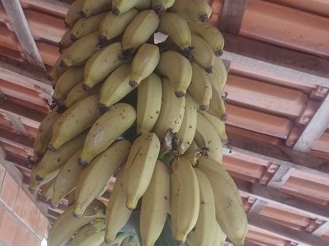 Chácara com 1000m² 2 quartos e 1 banheiro, à venda, no bairro LAGEADINHO em Ibiúna