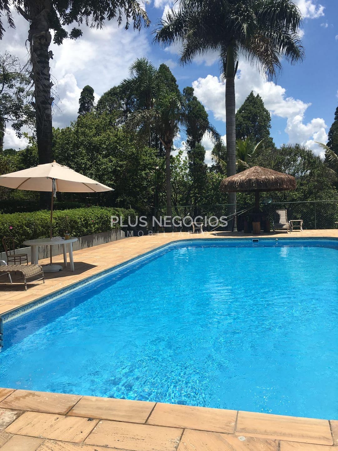 Chácara à venda com 4 quartos, 4000m² - Foto 12