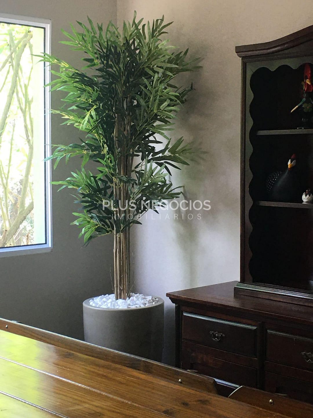 Chácara à venda com 4 quartos, 4000m² - Foto 3