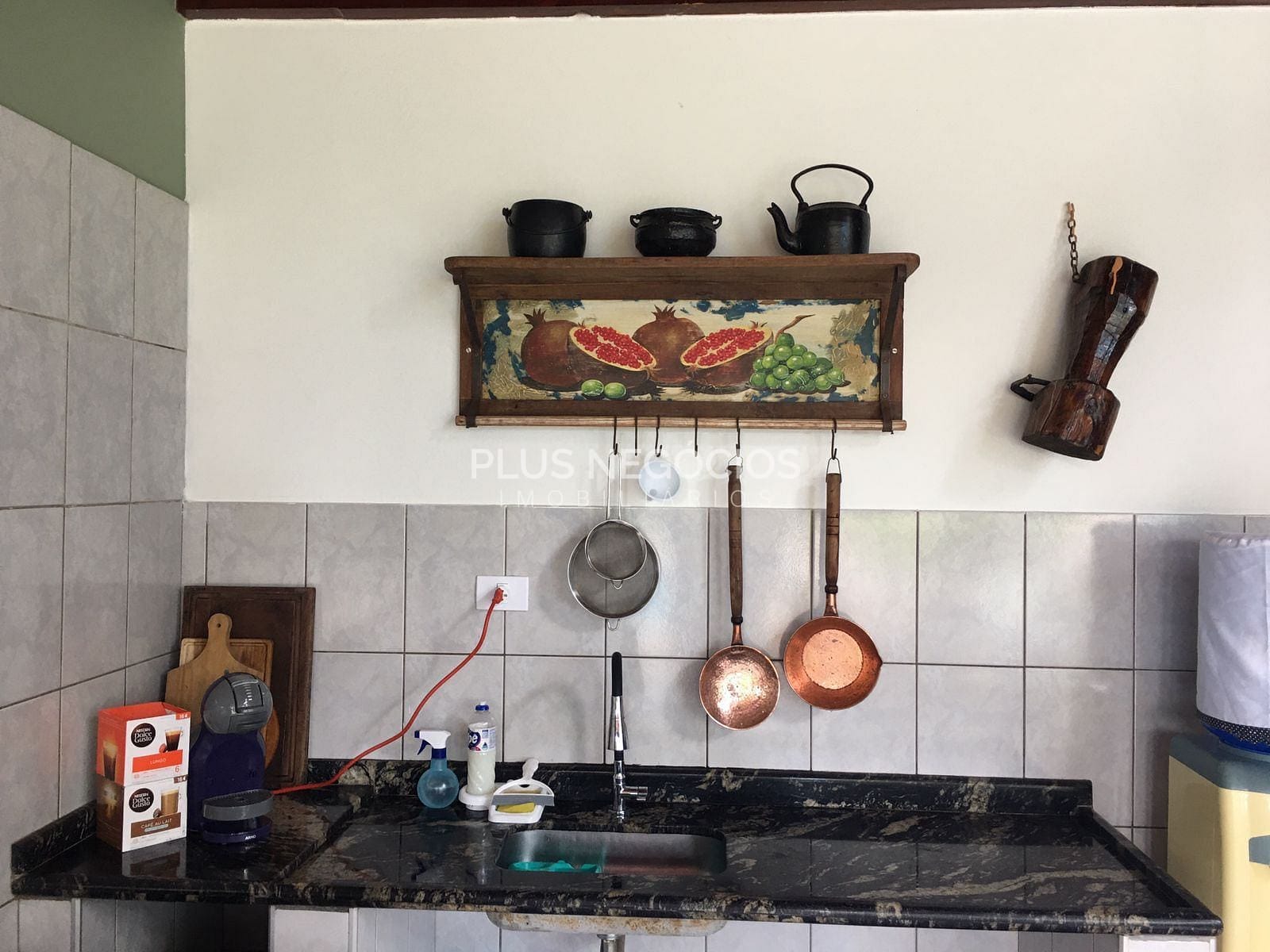 Chácara à venda com 4 quartos, 4000m² - Foto 5