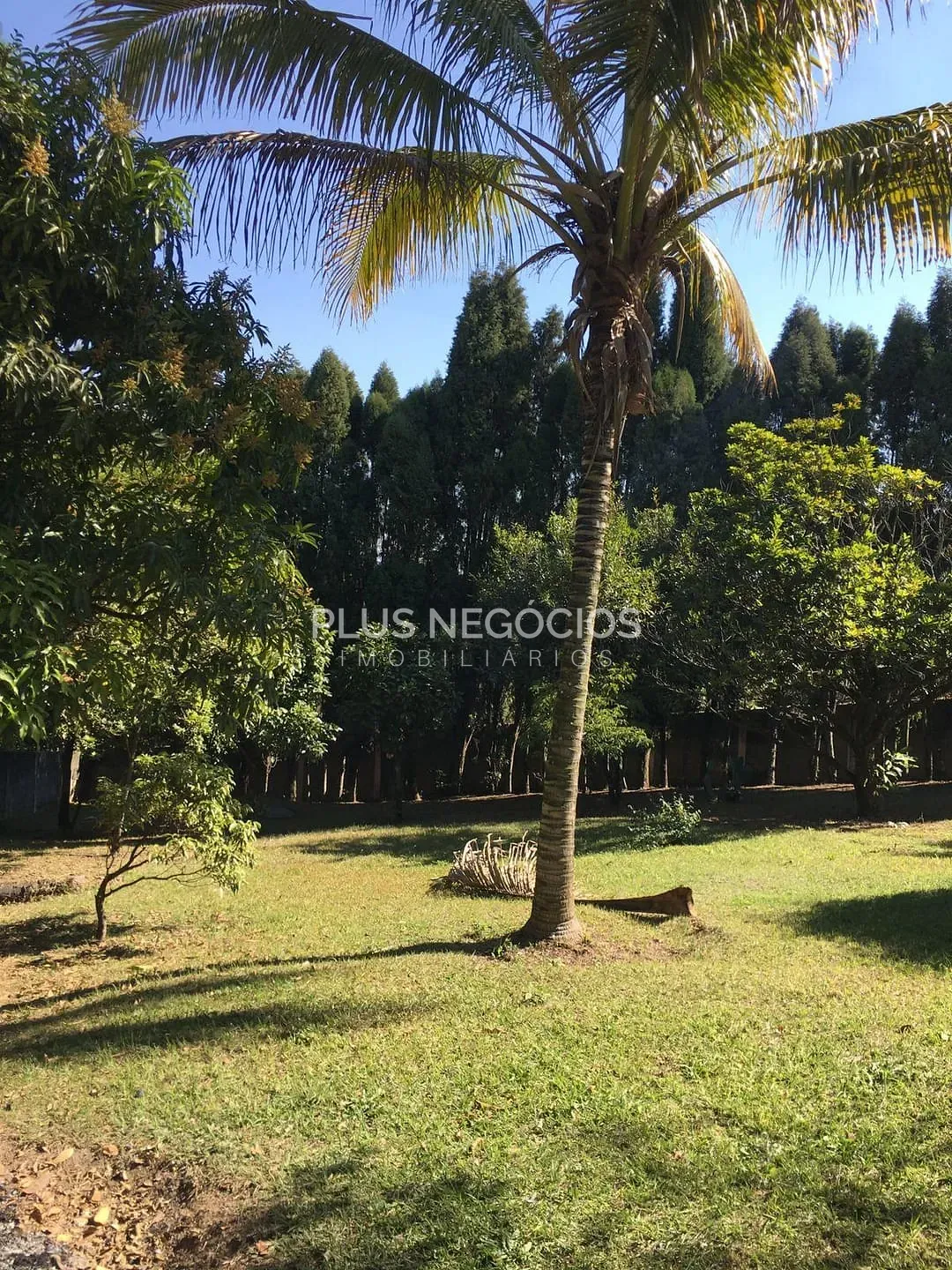 Chácara, 4 quartos, 4000 m² - Foto 17