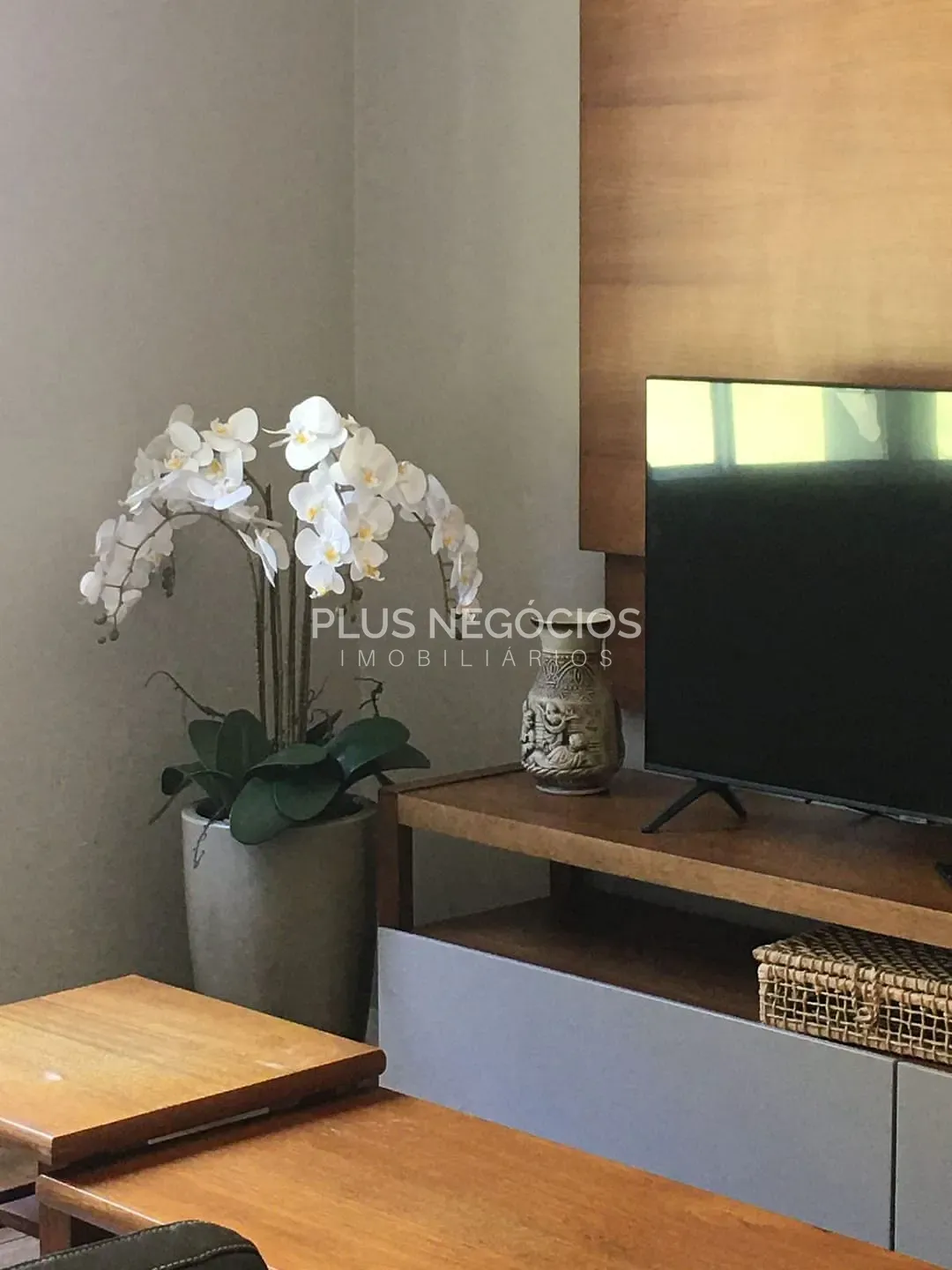 Chácara, 4 quartos, 4000 m² - Foto 2