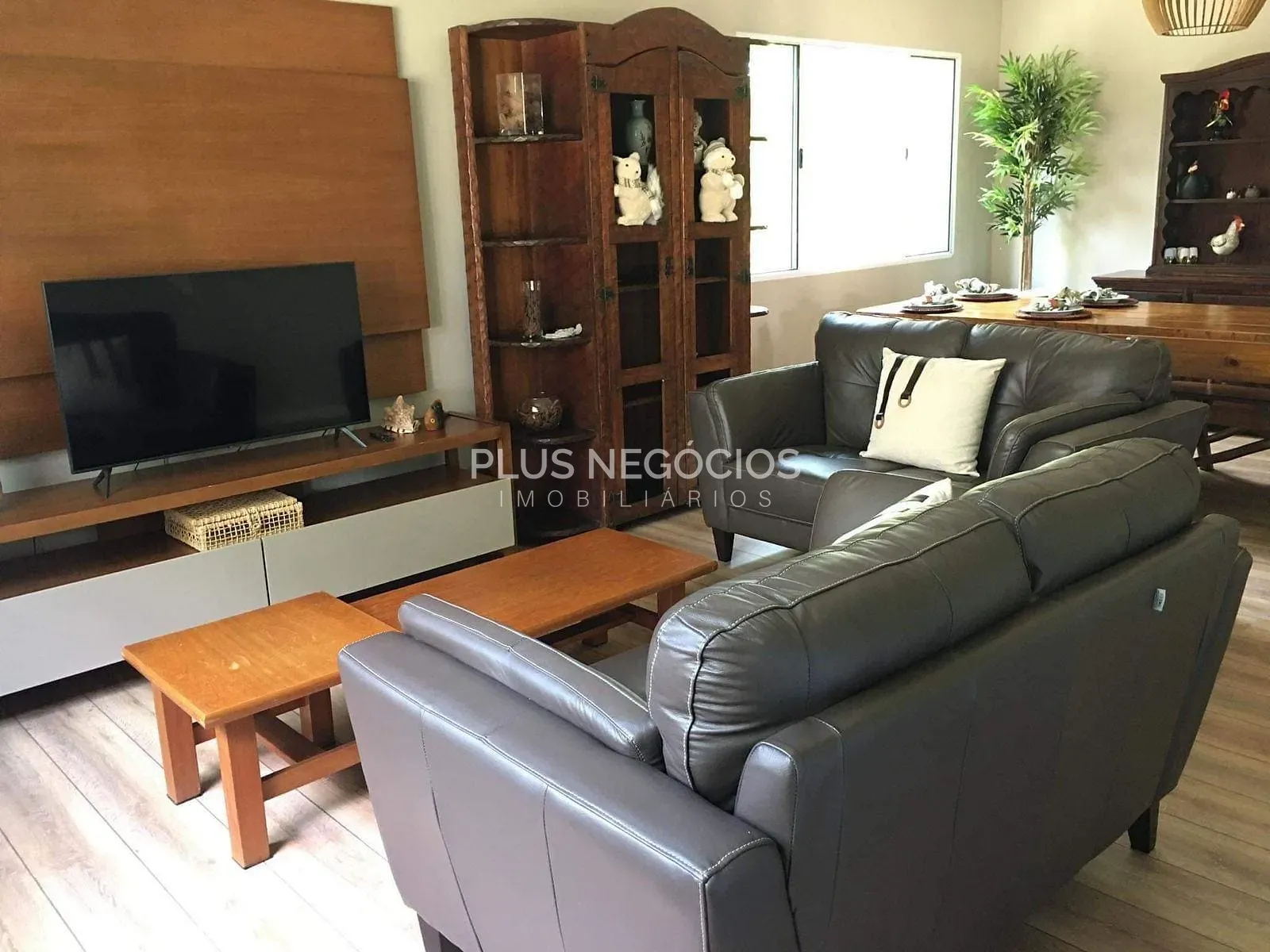 Chácara, 4 quartos, 4000 m² - Foto 6