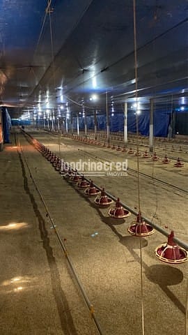 Sítio, 1 quarto, 10 m² - Foto 4