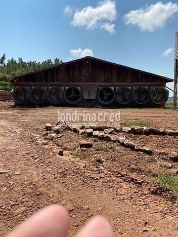 Sítio, 1 quarto, 10 m² - Foto 1