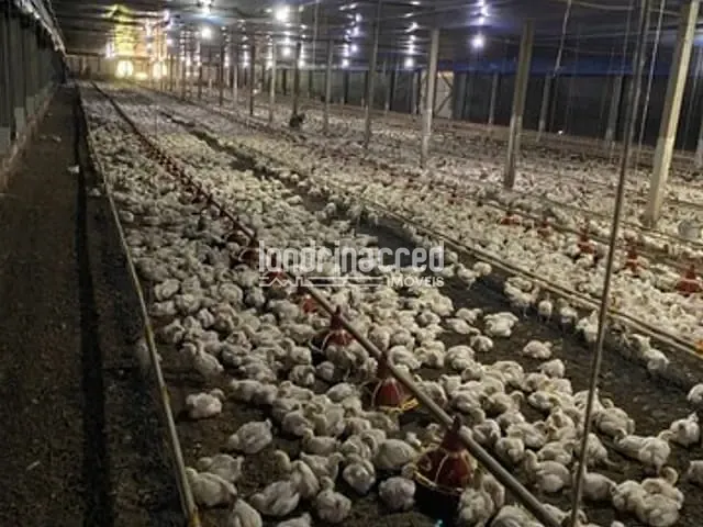 Chácara à venda, no bairro Rural em Tamarana