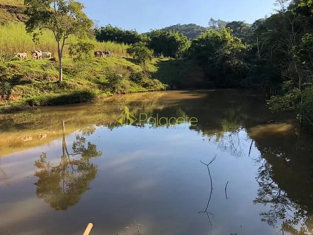 Chácara com 110000m² 3 quartos e 1 banheiro, à venda, no bairro Zona Rural em Roseira