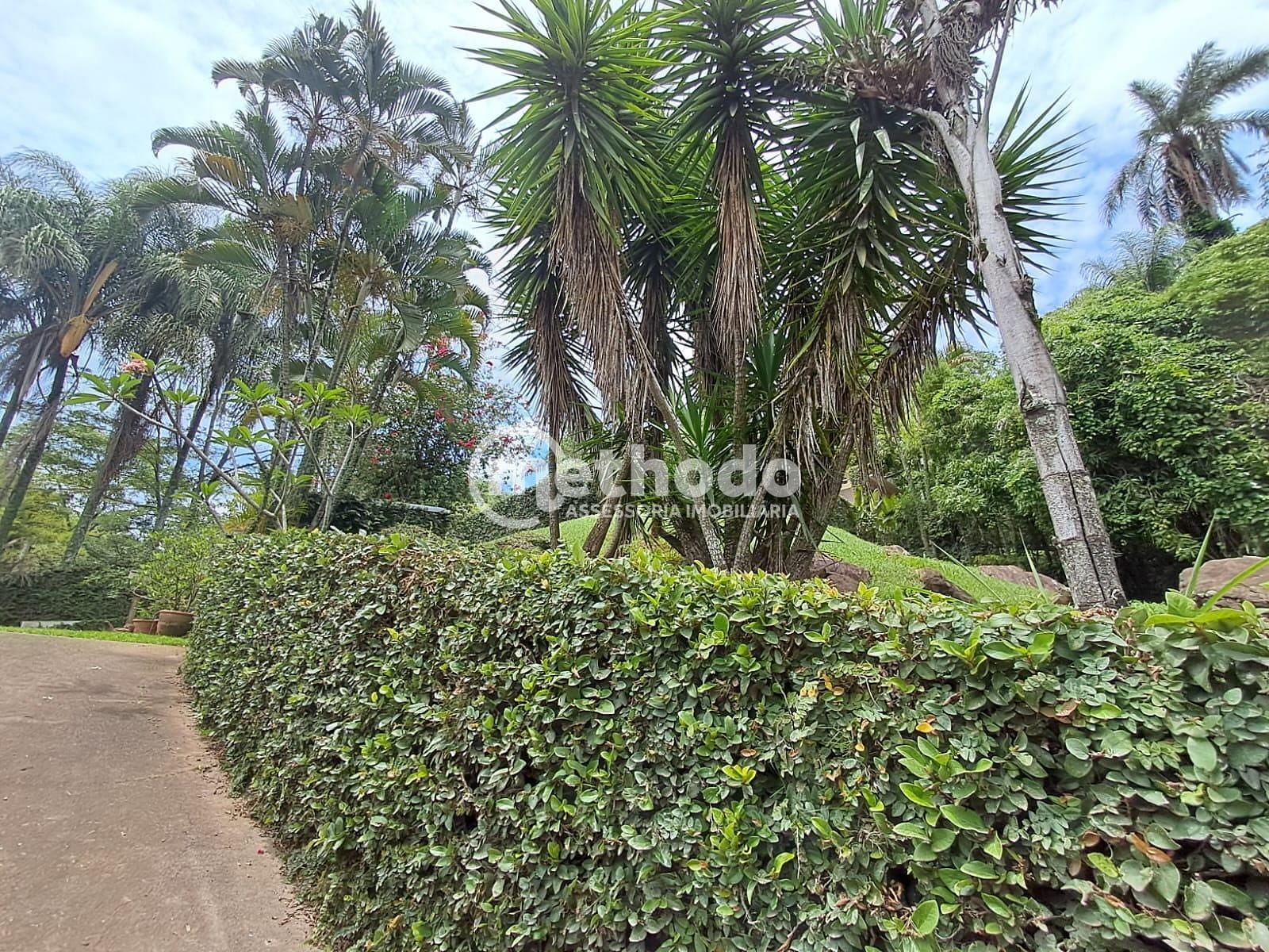 Sítio, 3 quartos, 3425 m² - Foto 42