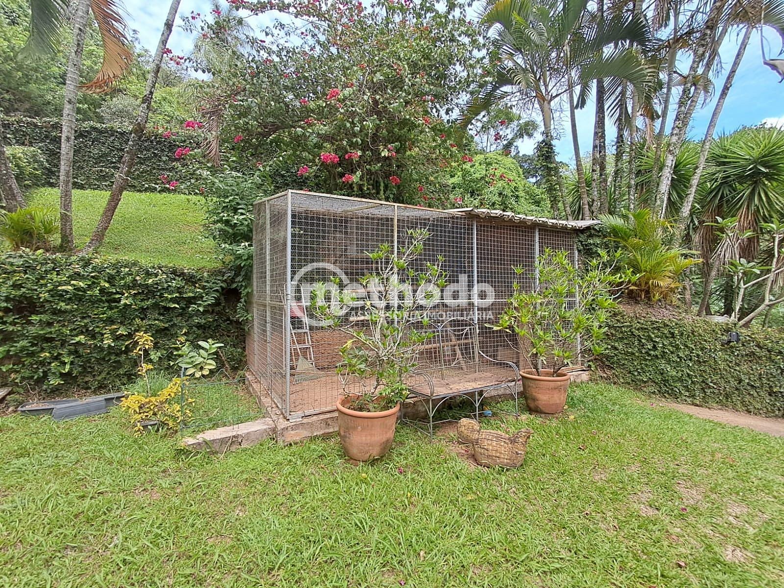 Sítio, 3 quartos, 3425 m² - Foto 45