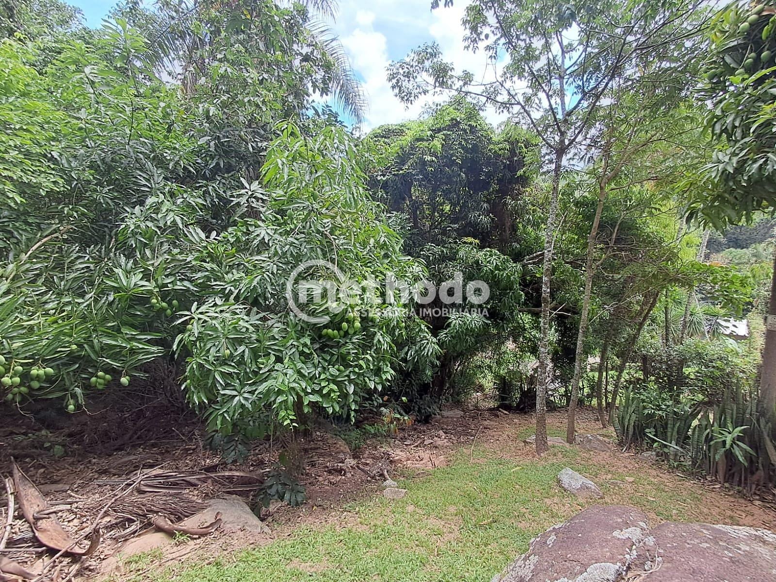 Sítio, 3 quartos, 3425 m² - Foto 48