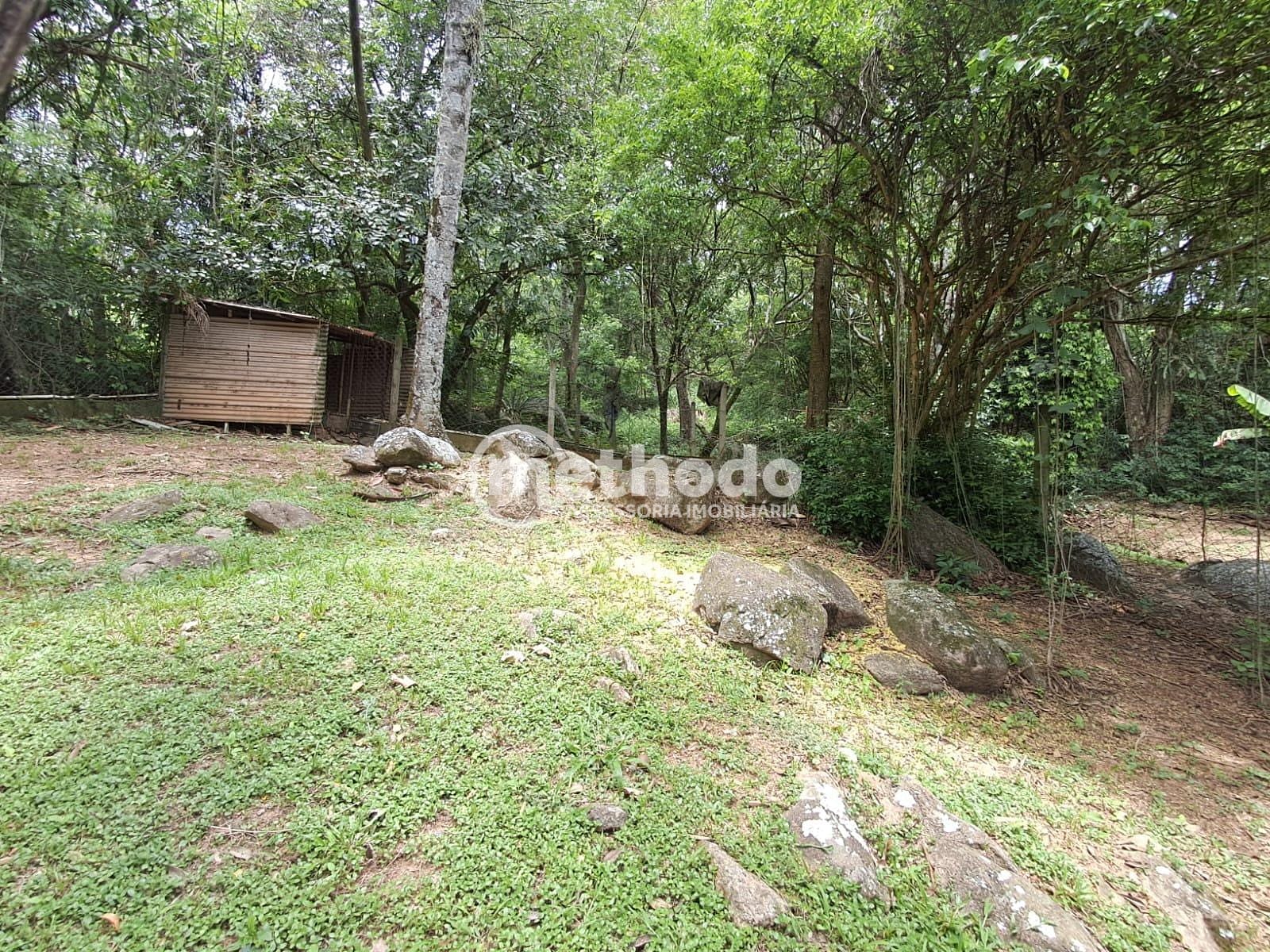 Sítio, 3 quartos, 3425 m² - Foto 49