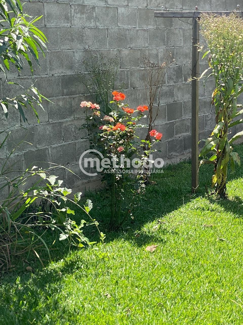 Chácara, 3 quartos, 1287 m² - Foto 6