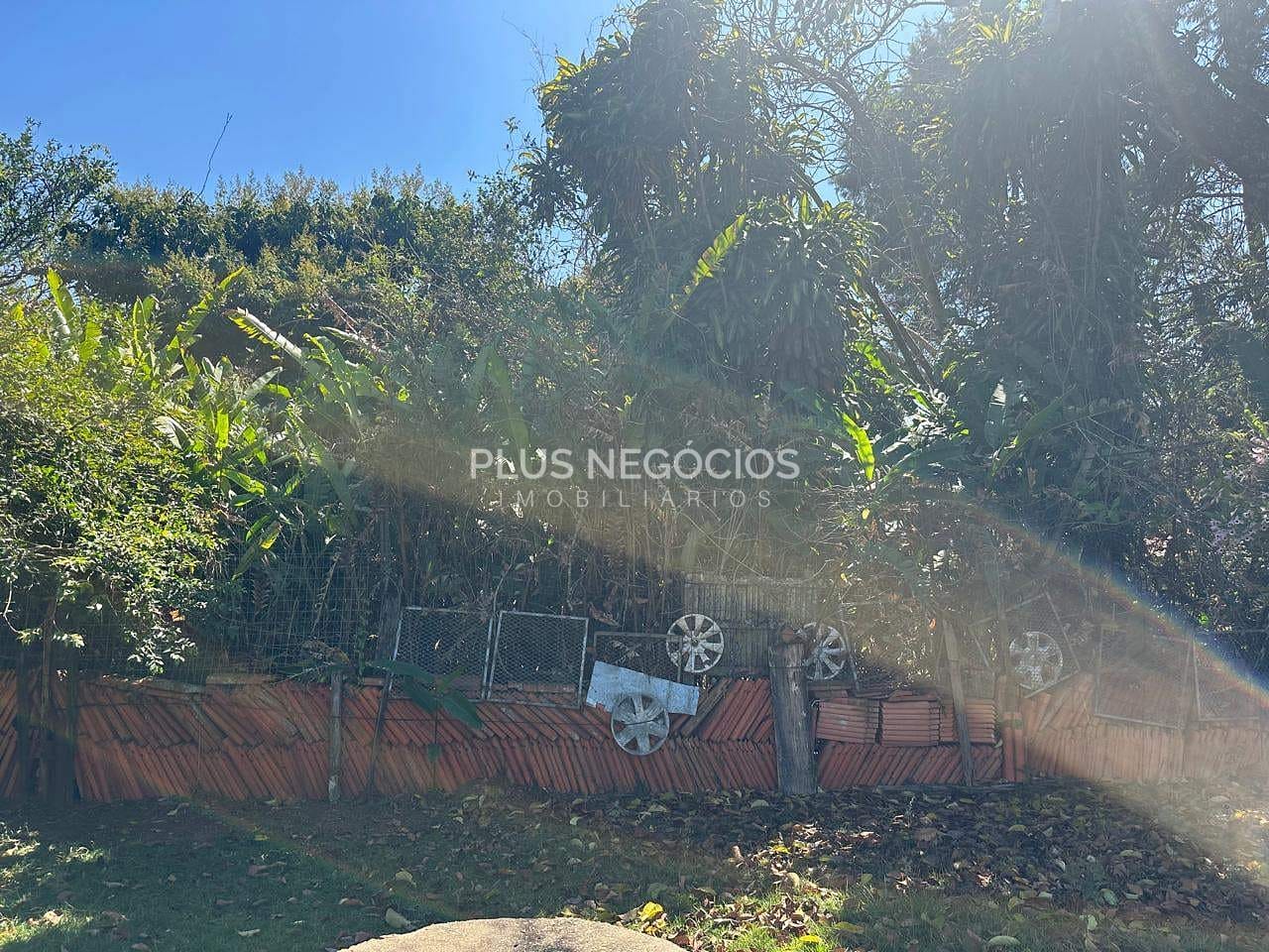 Chácara, 3 quartos, 814 m² - Foto 3