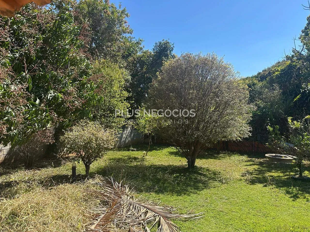 Chácara, 3 quartos, 814 m² - Foto 15