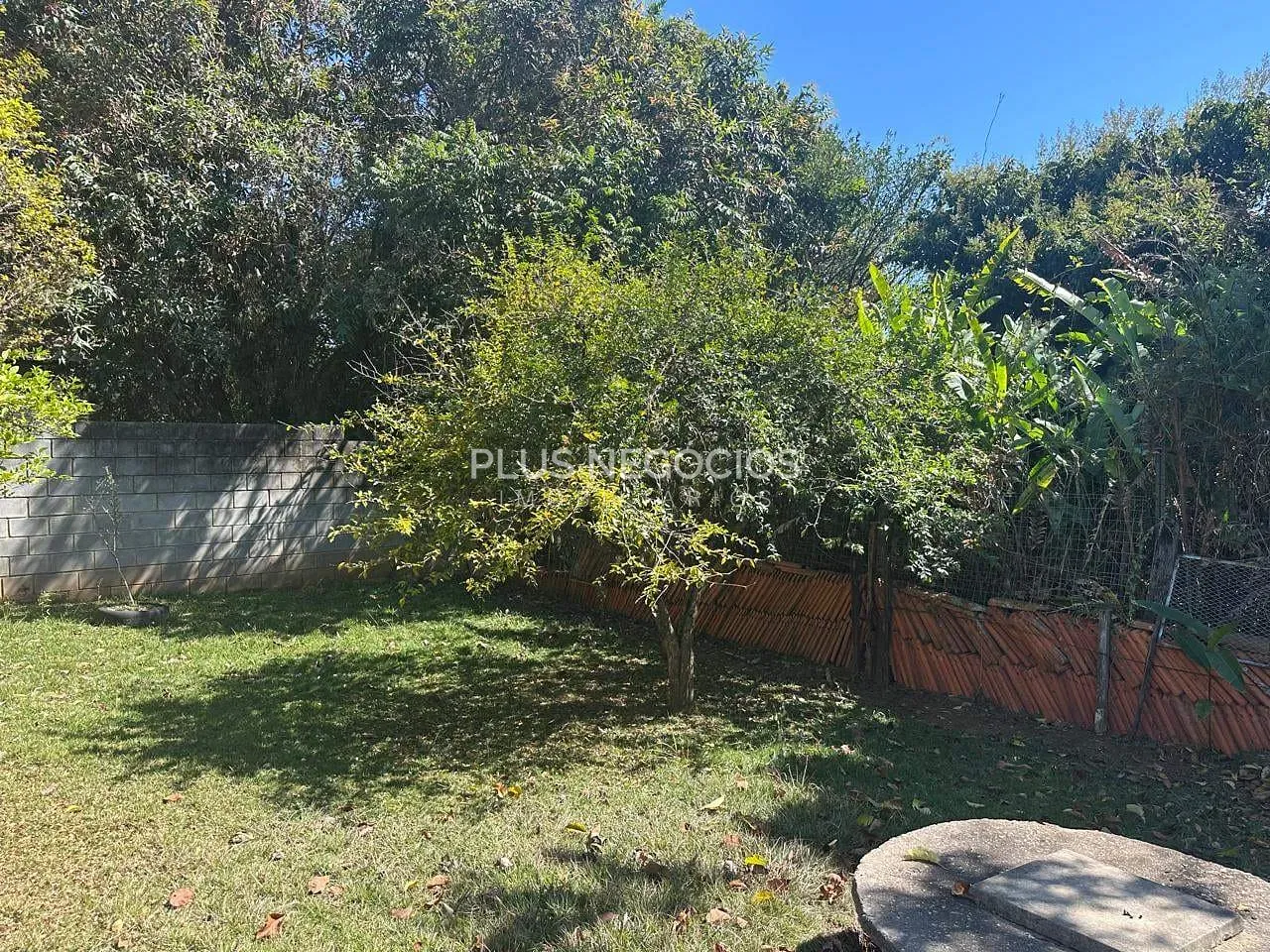 Chácara, 3 quartos, 814 m² - Foto 9